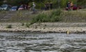 Uebung BF Taucher und Presse Koeln Zoobruecke Rhein P089